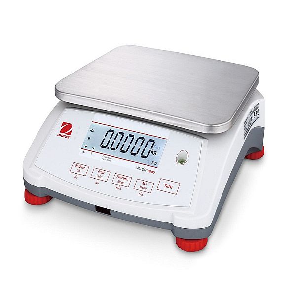 Bench & Food Scales